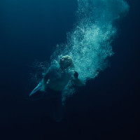 Our Love is a Garden_Låpsley