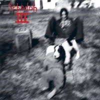 Holy Picture_Sebadoh