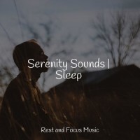 Ocean Sounds_Deep Sleep,Instrumental,Kings of Nature