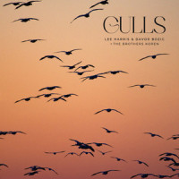 Gulls_Lee Harris,Davor Bozic,The Brothers Koren
