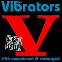 Picture Of You_The Vibrators
