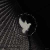 Eternity_Passed Recordings,Passengers