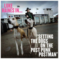 Setting The Dog On The Post Punk Postman_Luke Haines