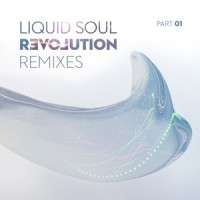I See the Spirit_Liquid Soul