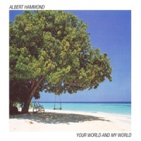 By the Night_Albert Hammond