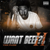 Want Beef? 2.0_YSN FLOW