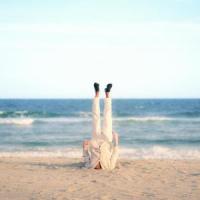 Vistalite_Plastic Picnic