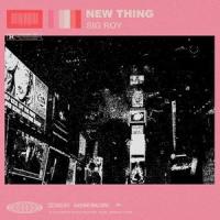 NEW THING_Sig Roy,Nick Sgroi