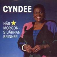 När morgonstjärnan brinner_Cyndee Peters