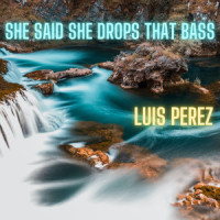 She Said She Drops That Bass_Luis Perez