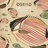 Hocking_Cosmo Sheldrake