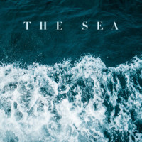 The Sea_Lily Kershaw,Jon Bryant