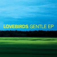 Tuesday_Lovebirds