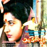 Dik Nei Disha Nei_Mrinal Bandopadhyay,Anuradha Paudwal