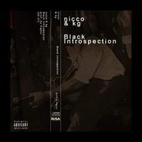 Black Introspection_Nicco