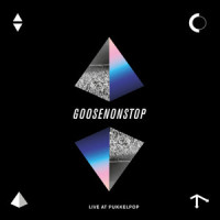 Low Mode_GOOSE