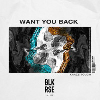 Want You Back_BLK RSE,Kaaze