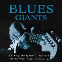 I Believe I'll Dust My Room_Robert Johnson