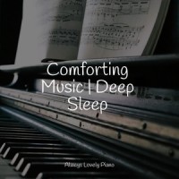 Twilight Vibes_Piano Mood,Mozart Lullabies Baby Lullaby,Piano Pianissimo