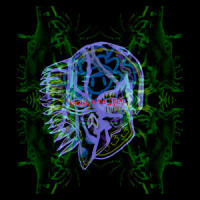Enemy of My Enemy_All Them Witches