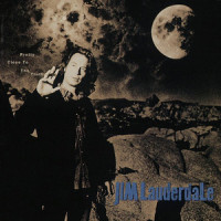 Why Do I Love You?_Jim Lauderdale
