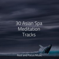 Pegasus Twilight_Relaxing Spa Music,Spa,Entspannungsmusik Oase