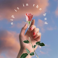 Better_planttvibes