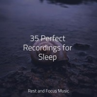 Whisper of the Waves_Pink Noise,Música de la Naturaleza,Spa Music Collective