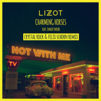 Not With Me_LIZOT,Charming Horses,David Taylor,Crystal Rock