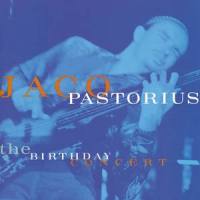 Punk Jazz (Live Verison)_Jaco Pastorius