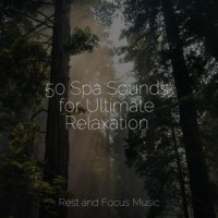 Connectivity_Pink Noise,Namaste Healing Yoga,White Noise Baby Sleep