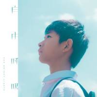 自由呼吸_The Bright Lights