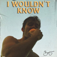 I Wouldn't Know_Benjamin Ingrosso