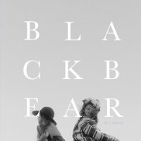 Black Bear_Andrew Belle