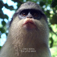 Cold on Me_Unkle Bob,The Little Birds