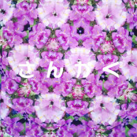 学_Lollipop