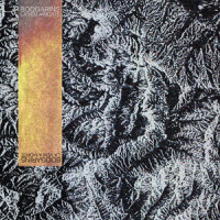 Foimal_Boogarins