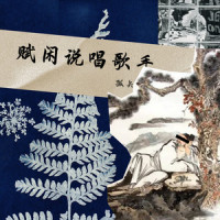 赋闲说唱歌手_孤矢