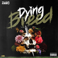 Long Love Trap_Karo