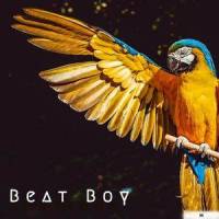 Beat Boy_Hasan,Azeem