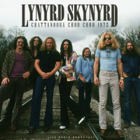 Am I Losin'_Lynyrd Skynyrd