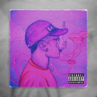 En la nuestra(feat. NELLI)_D'mian,Nelli