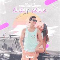 Like You Like That_Cuish,Soundwaves,Jorge David Lopez,James Yigit Kaya