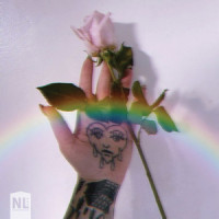 Laid Back Coolin_Sky Society,Twanz,Flamingosis