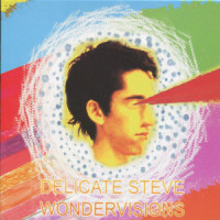 Welcome - Begin_Delicate Steve