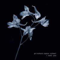 Usurper_Prinzhorn Dance School