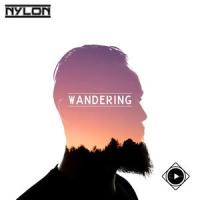 Money Woods_Nylon