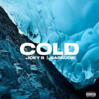 COLD_Joey B,Sarkodie