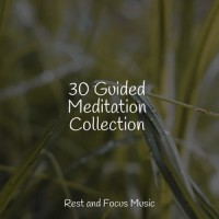 Sprouting Lilies_Sounds of Nature White Noise Sound Effects,Sleepy Times,Sounds of Nature White Noise for Mindfulness Meditation and Relaxation