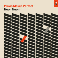 Praxis Makes Perfect_Neon Neon